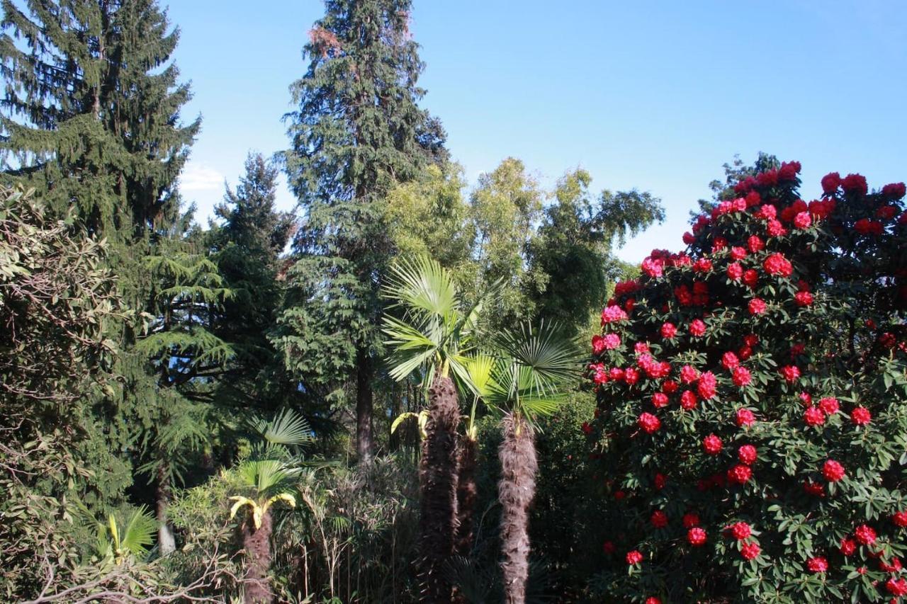 Апартаменты La Camelia D'Oro Оджеббио Экстерьер фото